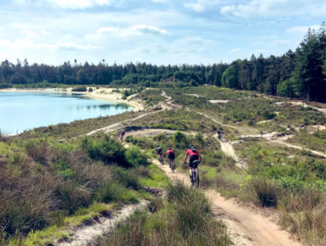 Fietsen door natuurgebied in Drenthe